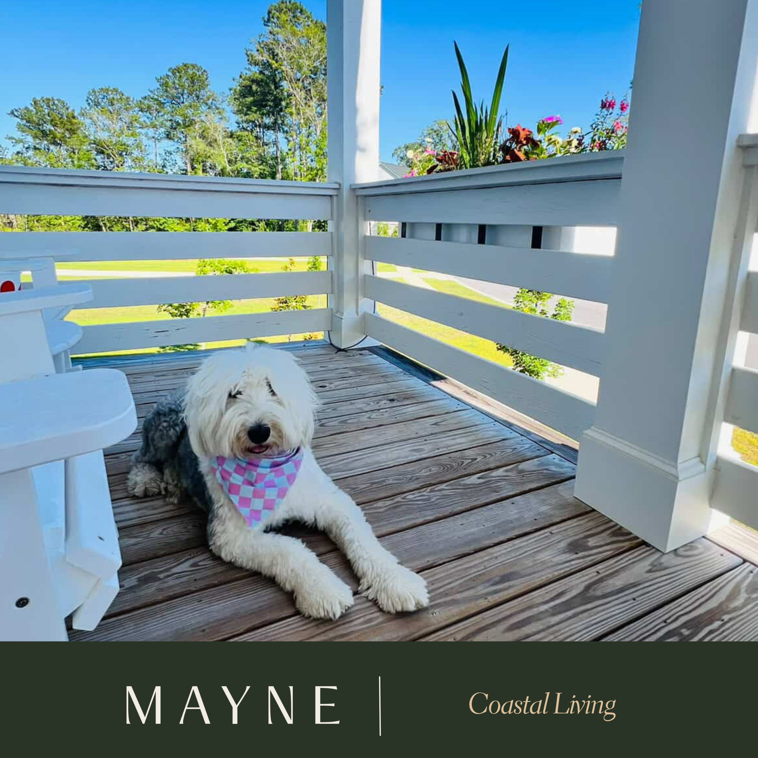Mayne featuring a Coastal Home