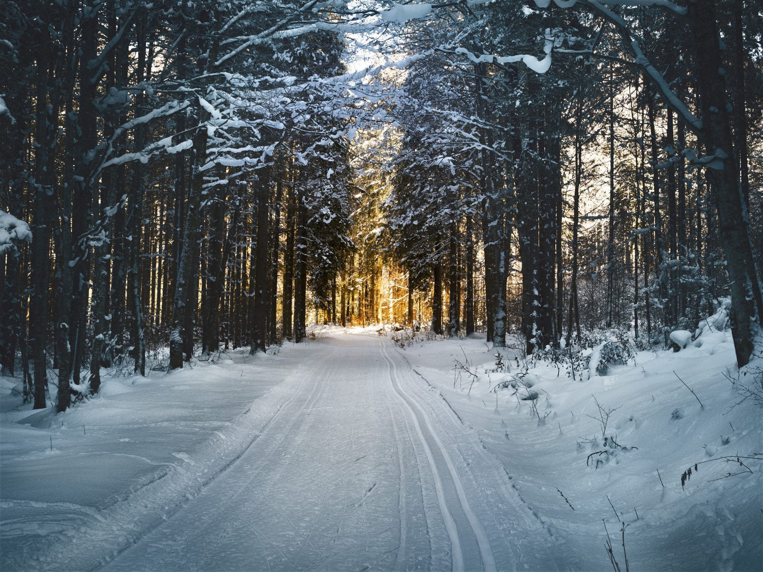 How to Prepare Your Home & Garden for Winter
