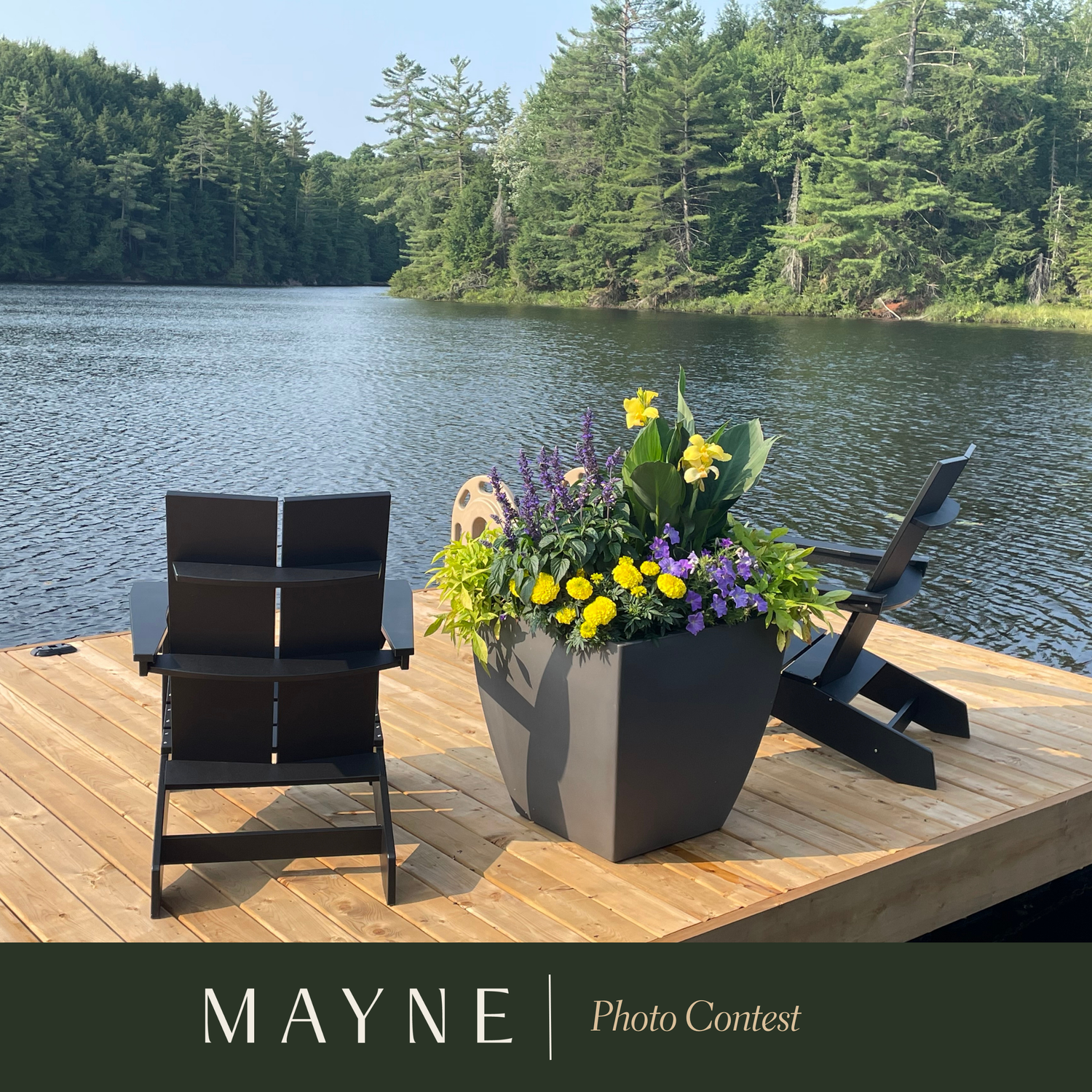 Snap Happy: Meet Our Contest Winners!