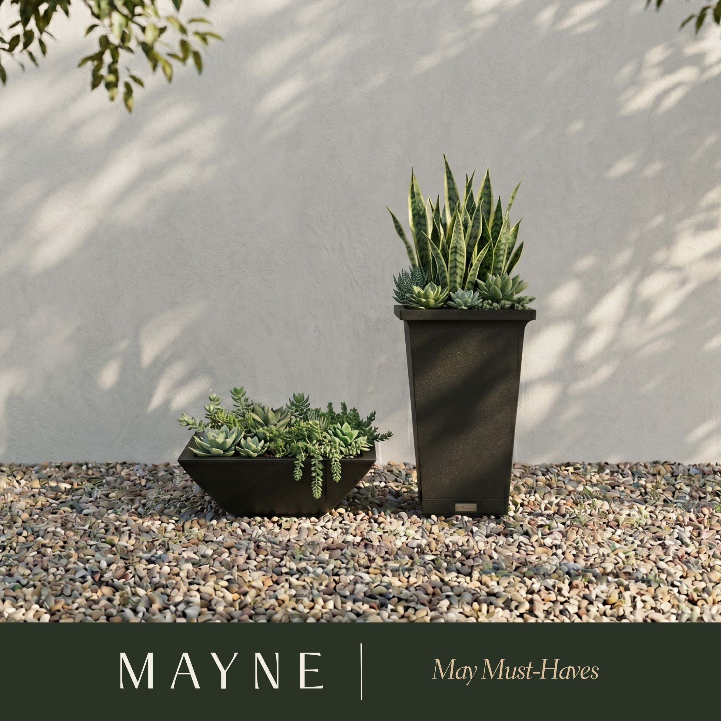 May Must-Haves
