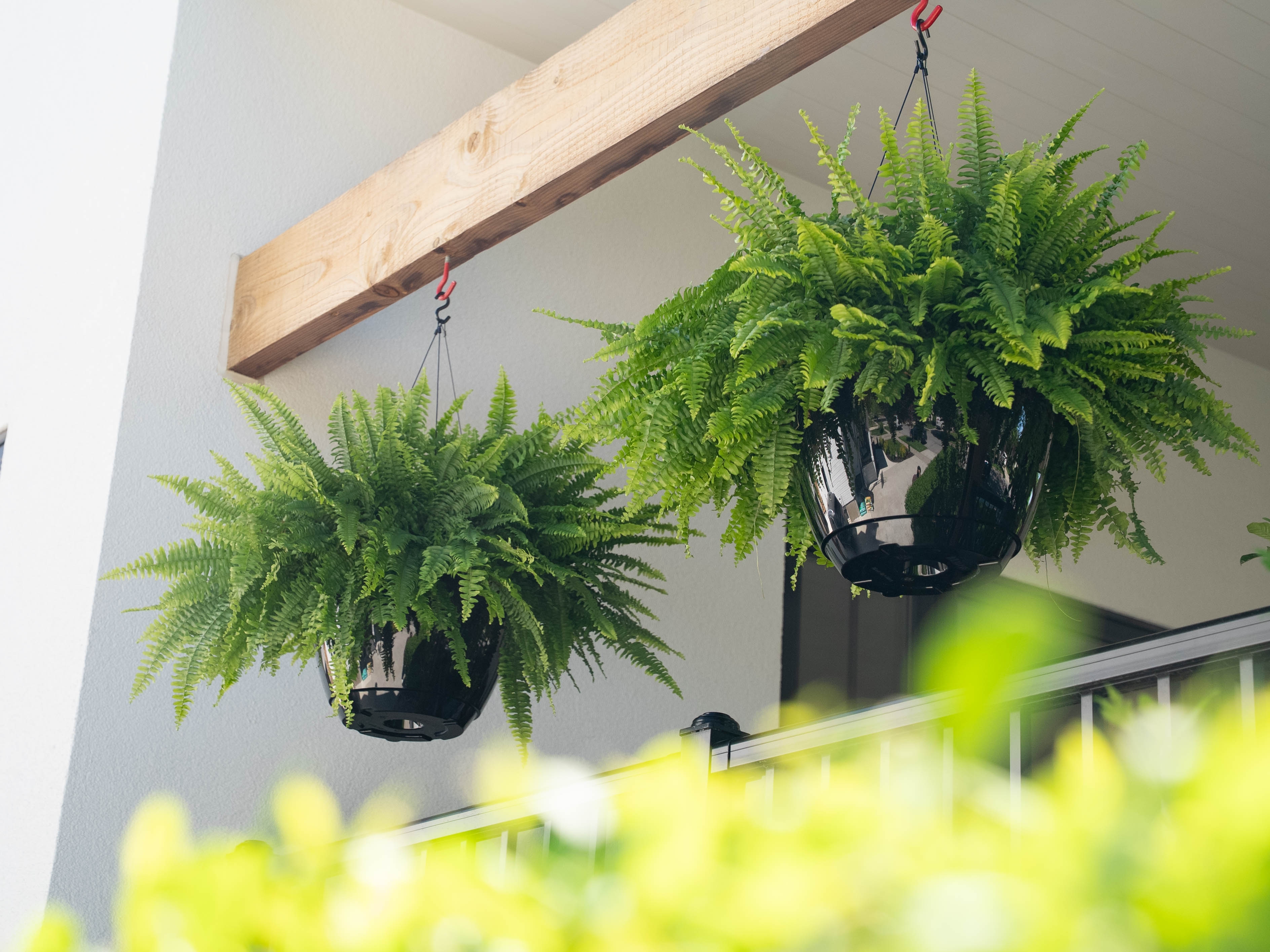 Caprio Hanging Planters