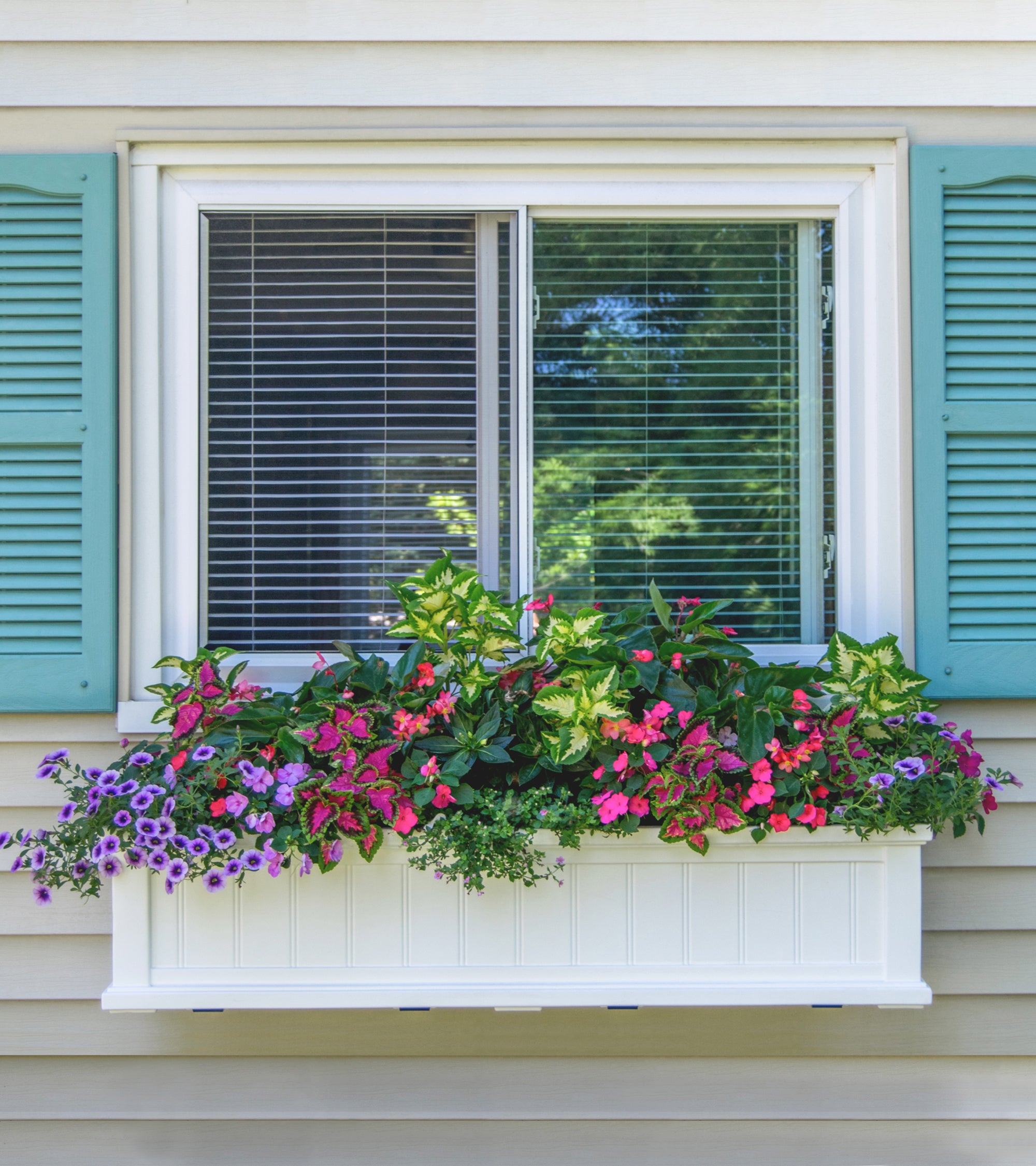 Window Cape Cod Collection