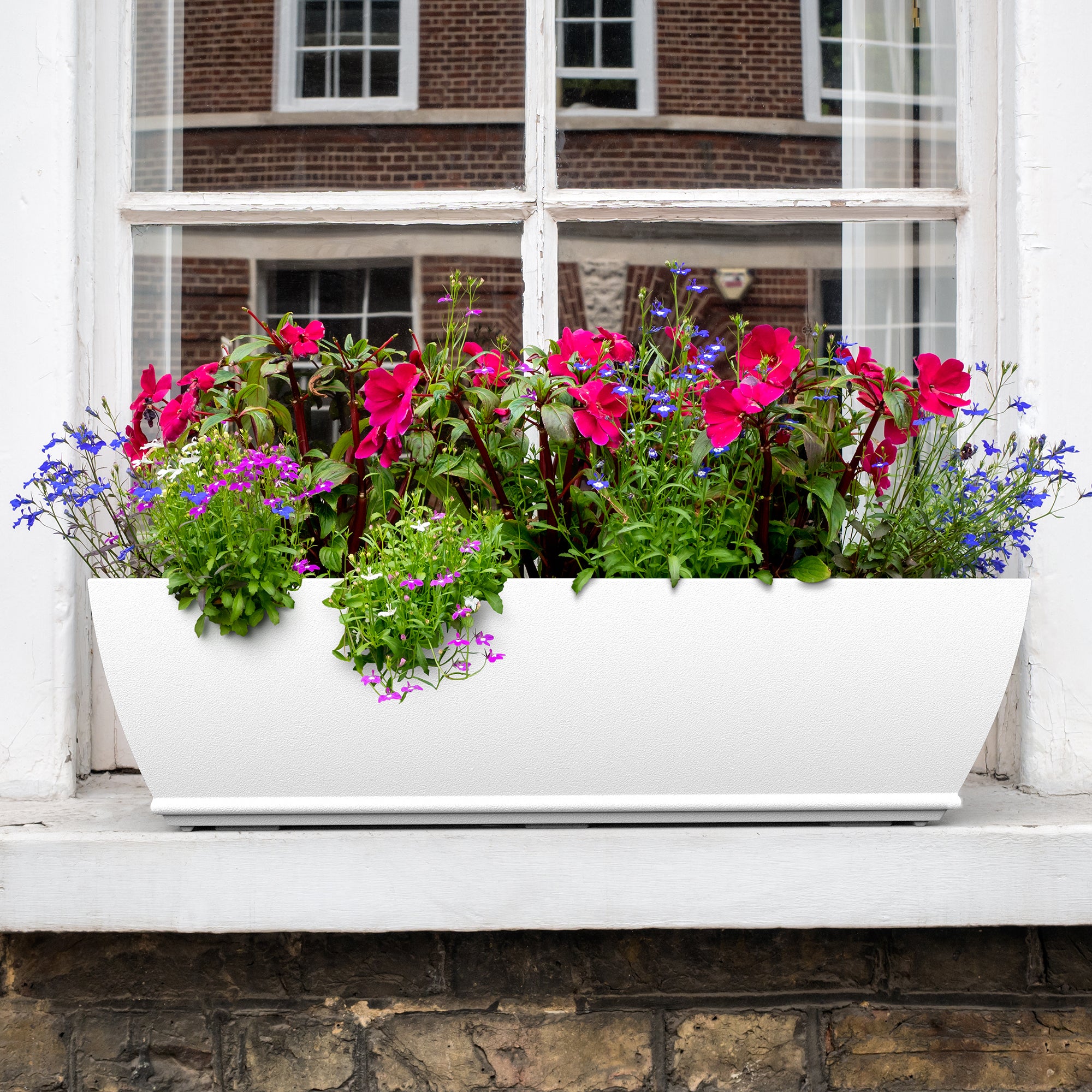 Acadia Window Boxes