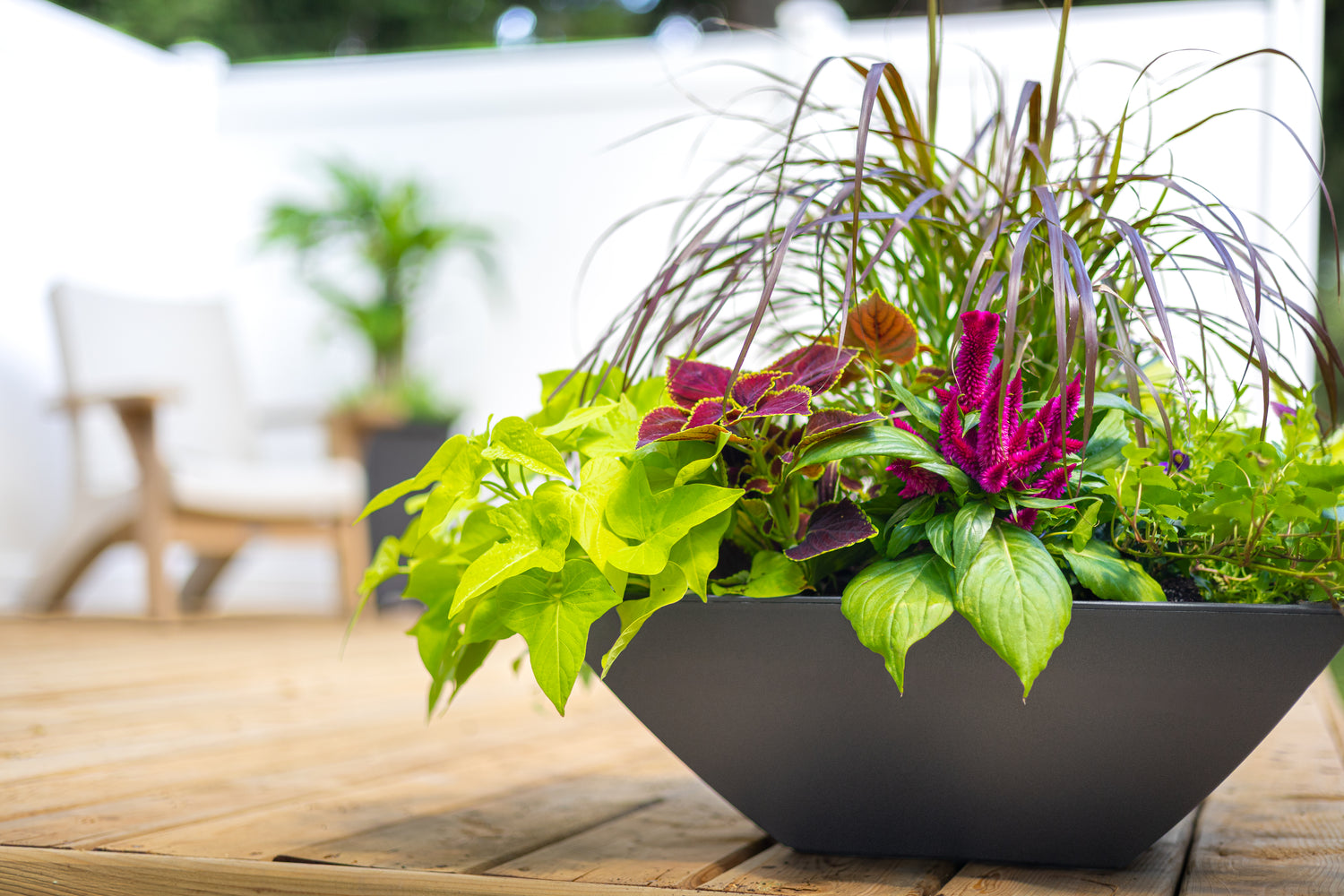 Evolve Tapered Bowl Planter (2-Pack)