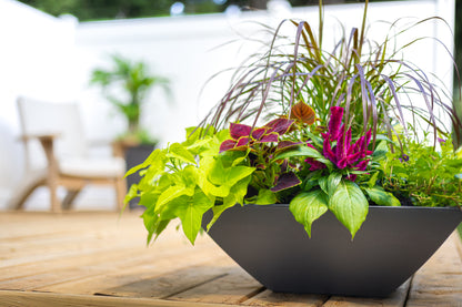 Evolve Tapered Bowl Planter (2-Pack)
