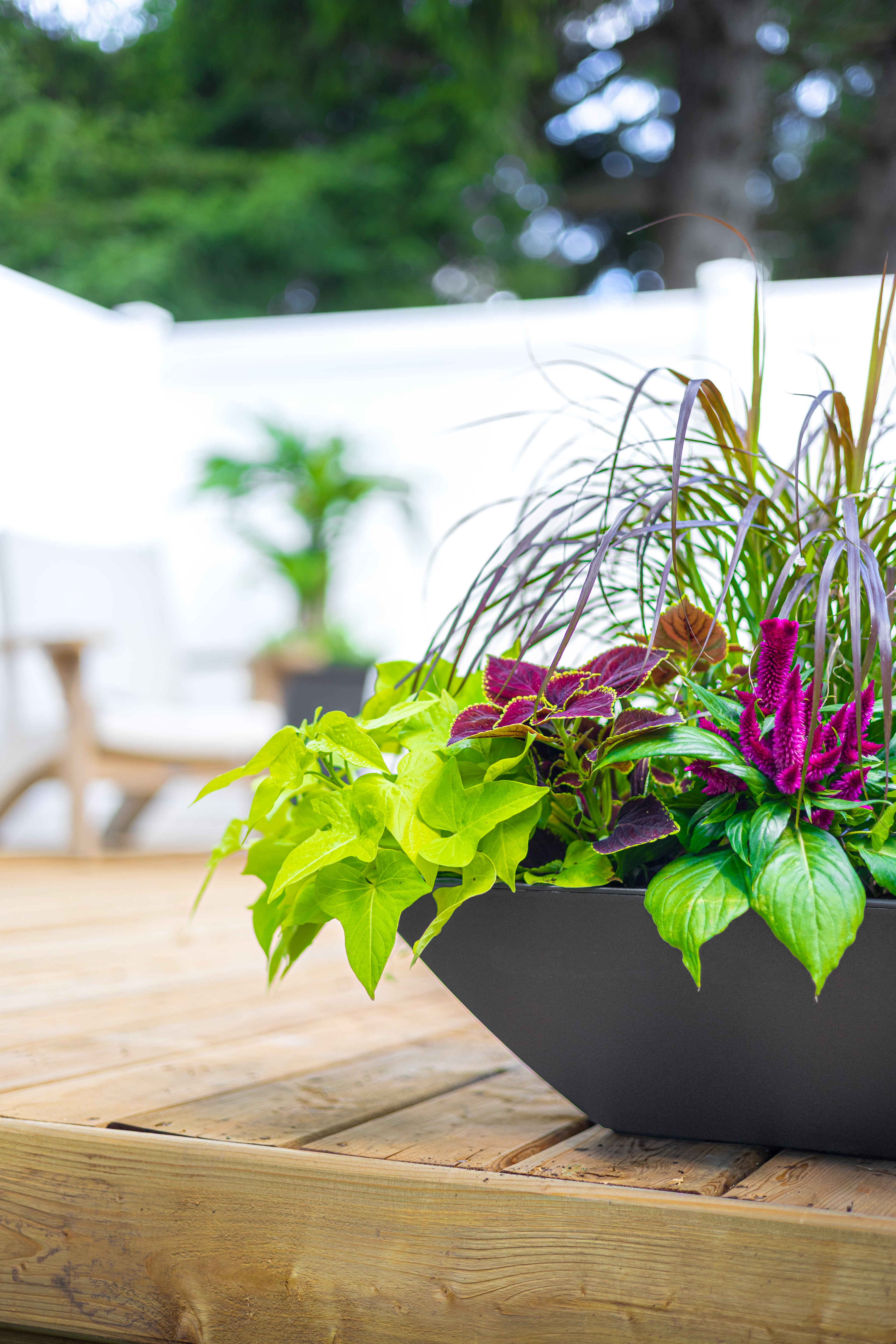 Evolve Tapered Bowl Planter (2-Pack)