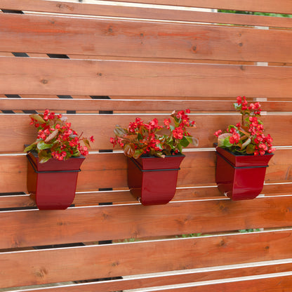 Mayne Valencia 8-Inch Self-Watering Wall Mount Planter (3-Pack)
