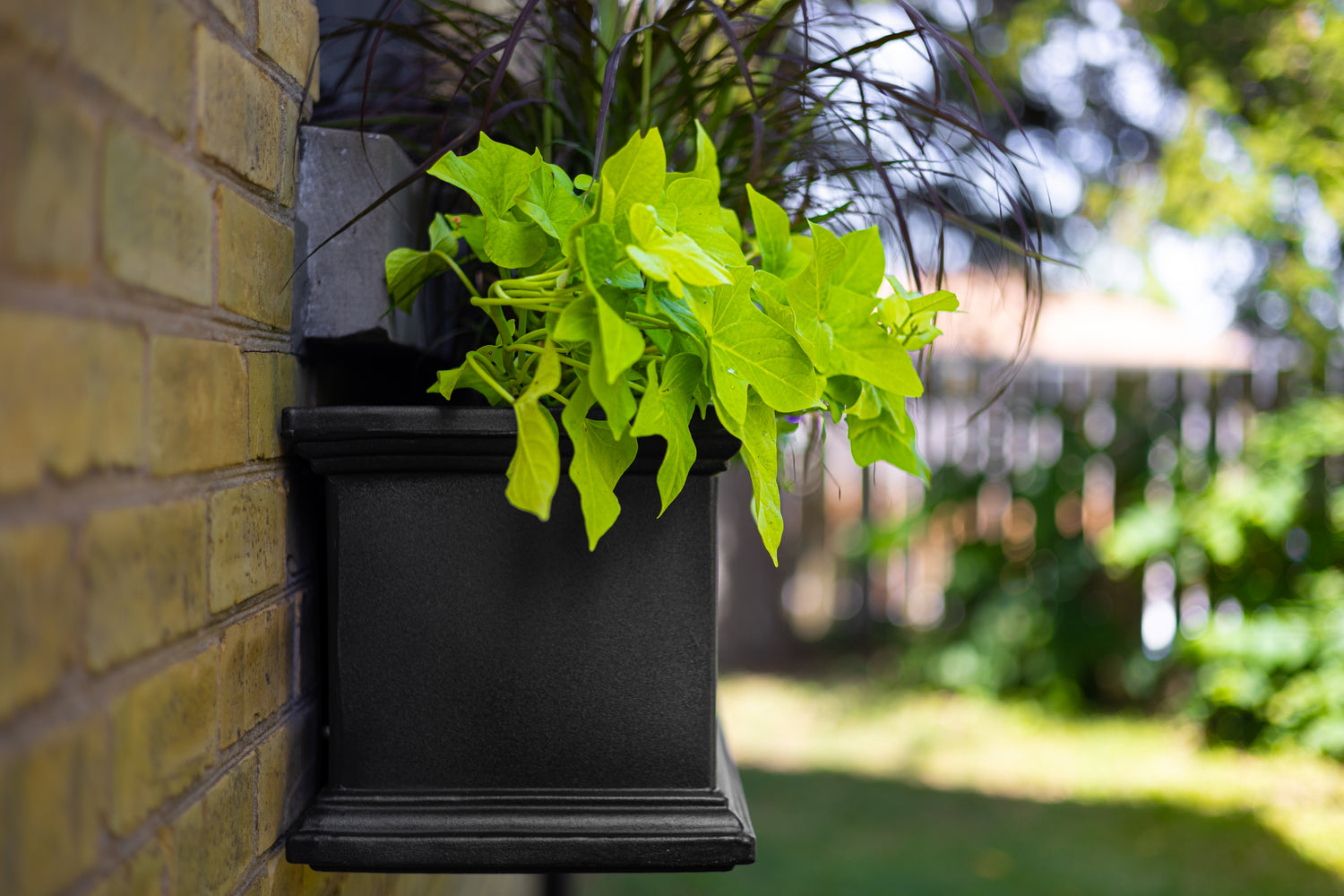Mayne Fairfield 5ft Self-Watering Window Box with Steel Wall Mount Brackets