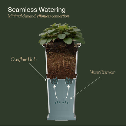 Mayne Fairfield 28-Inch Self-Watering Tall Planter with Removable Planting Insert (Black, 2-Pack)