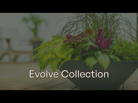 Evolve Tall Planter (2-Pack)